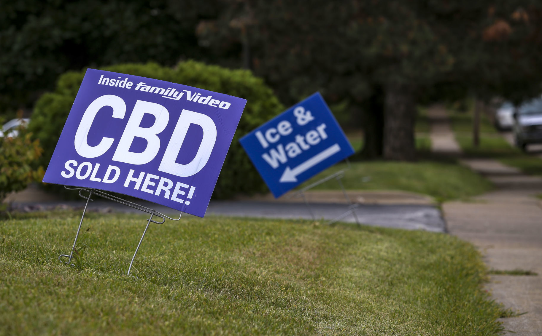 090919-qct-qca-cbd-005